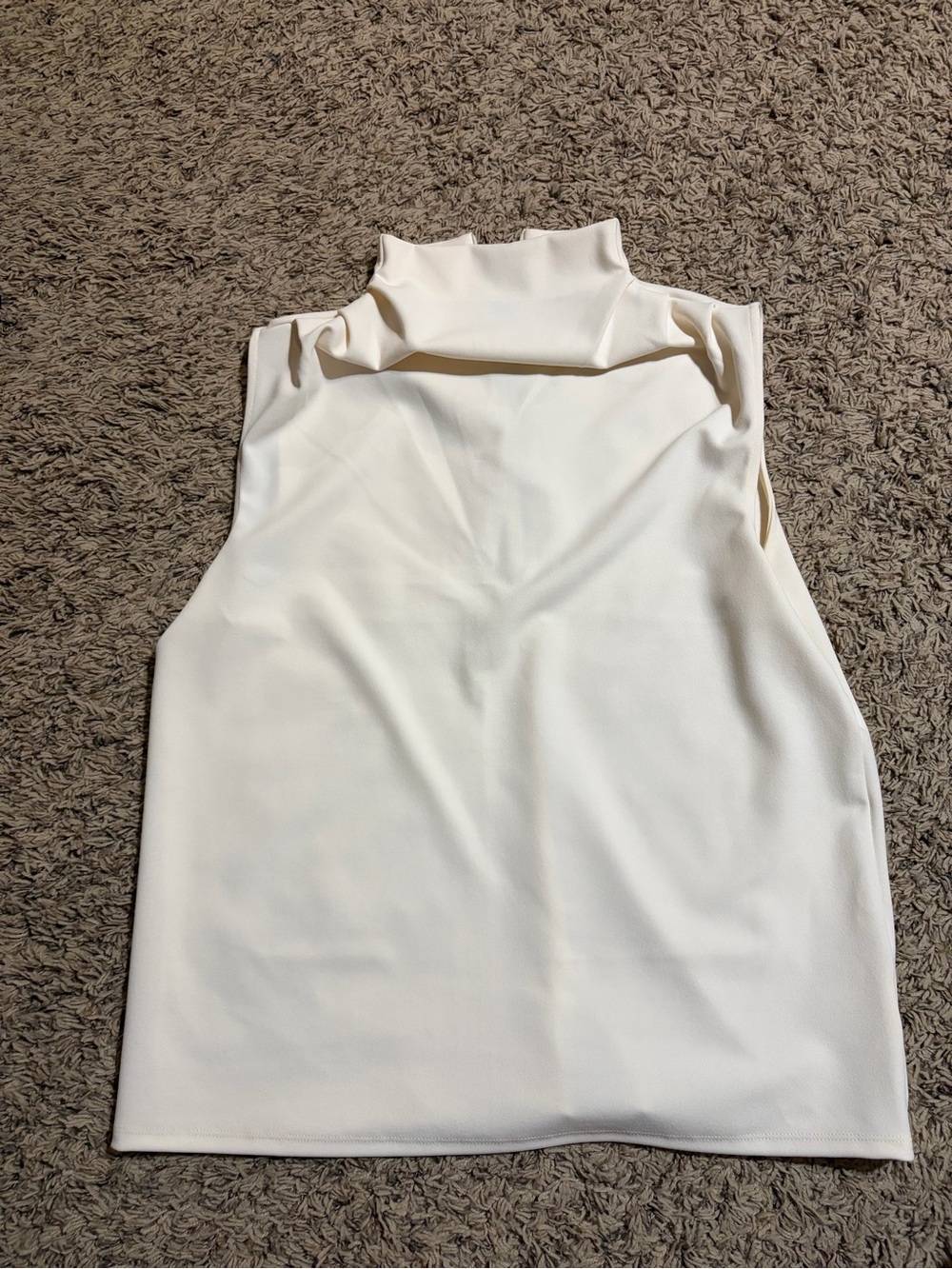 Express Sleeveless Mock Neck Top in Cream